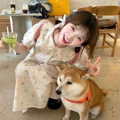 让爱自由